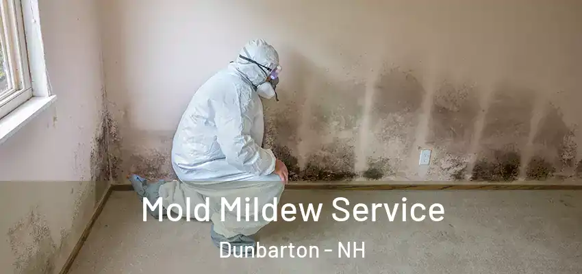 Mold Mildew Service Dunbarton - NH