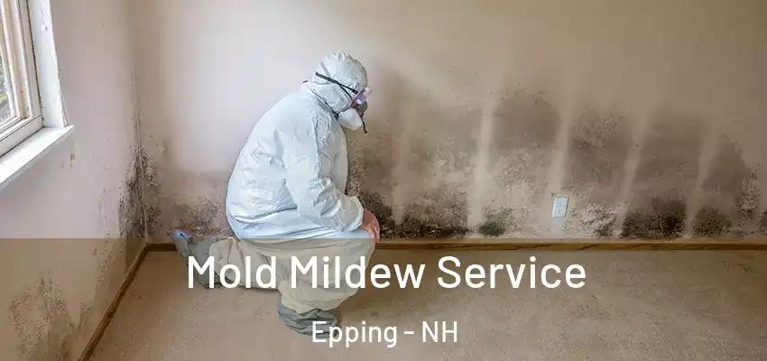 Mold Mildew Service Epping - NH