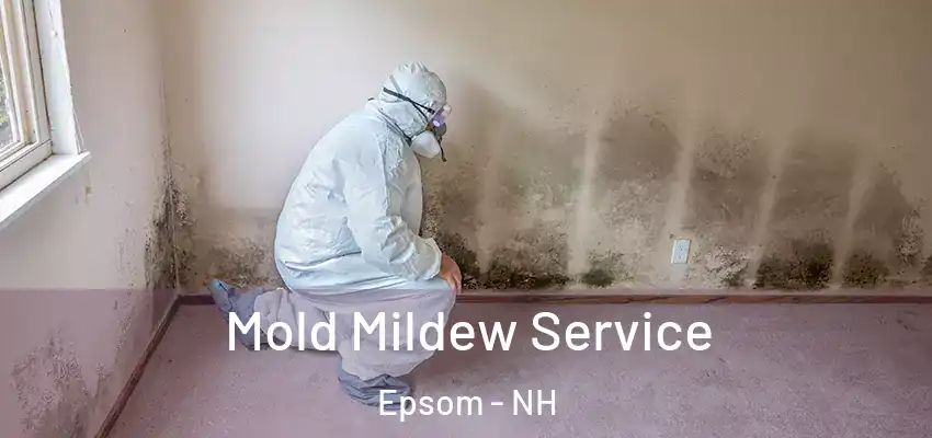Mold Mildew Service Epsom - NH