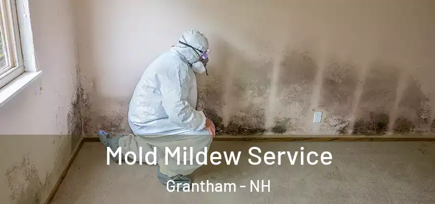  Mold Mildew Service Grantham - NH