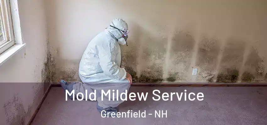  Mold Mildew Service Greenfield - NH