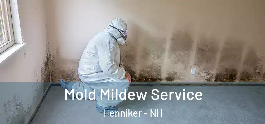  Mold Mildew Service Henniker - NH