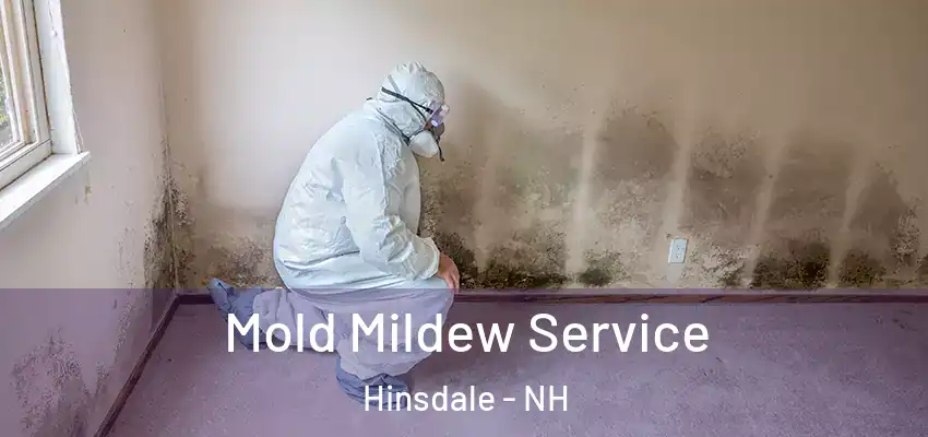  Mold Mildew Service Hinsdale - NH