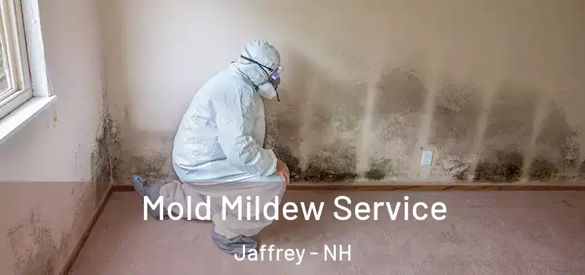  Mold Mildew Service Jaffrey - NH