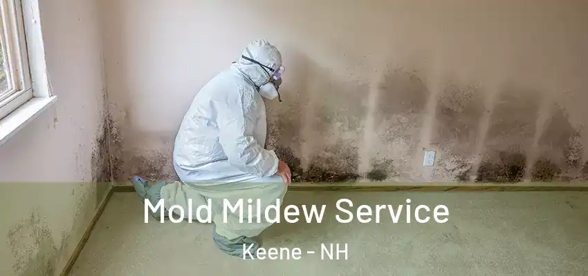  Mold Mildew Service Keene - NH