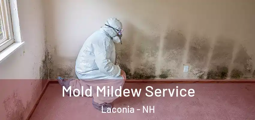  Mold Mildew Service Laconia - NH