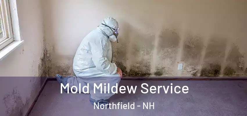  Mold Mildew Service Northfield - NH