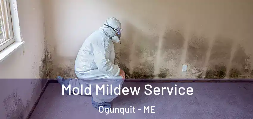 Mold Mildew Service Ogunquit - ME