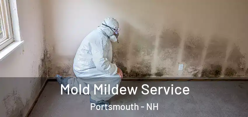 Mold Mildew Service Portsmouth - NH