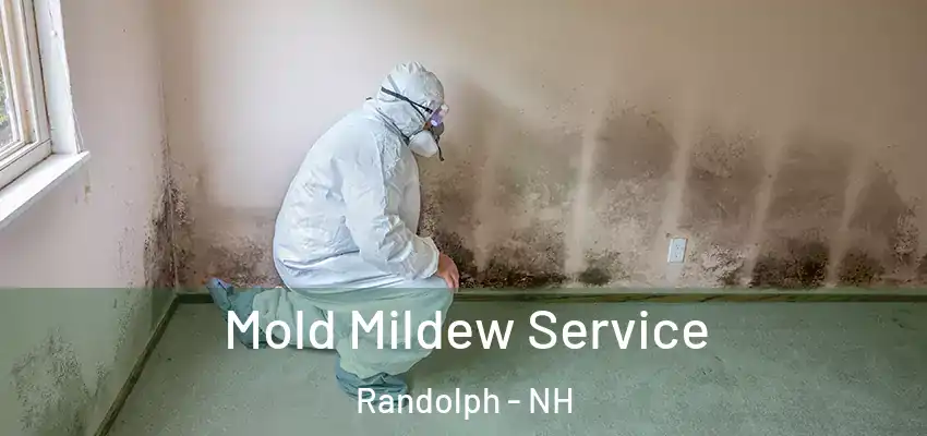  Mold Mildew Service Randolph - NH