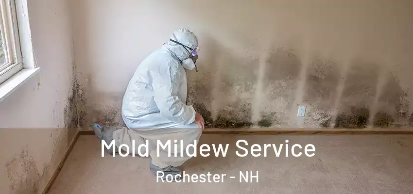  Mold Mildew Service Rochester - NH