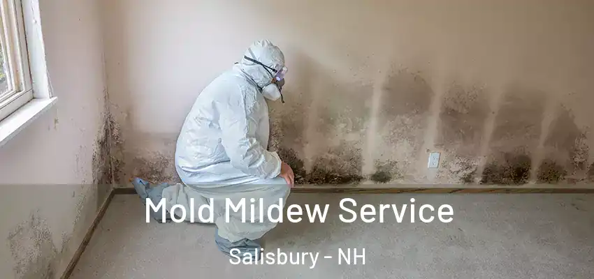  Mold Mildew Service Salisbury - NH