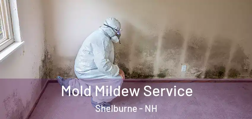  Mold Mildew Service Shelburne - NH