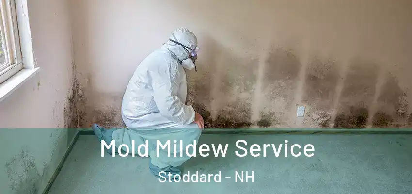  Mold Mildew Service Stoddard - NH