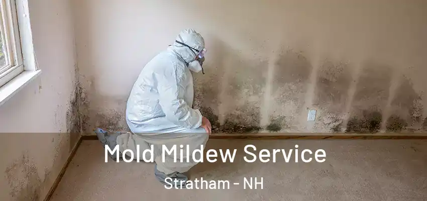  Mold Mildew Service Stratham - NH