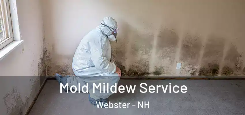 Mold Mildew Service Webster - NH