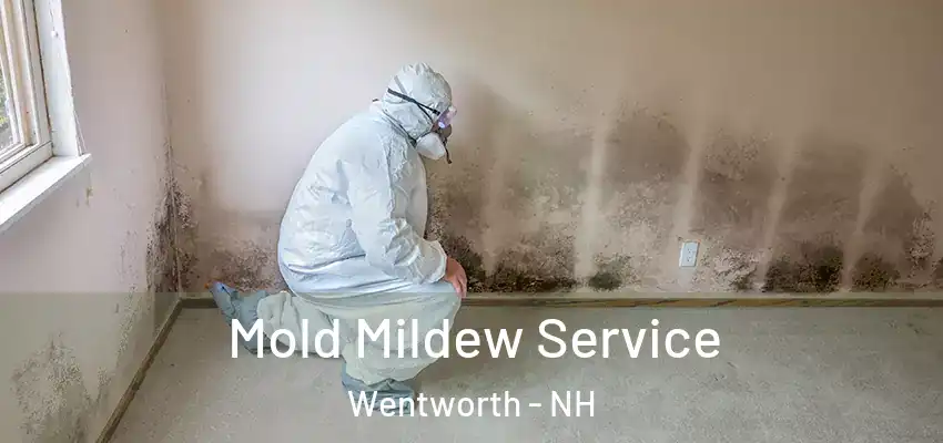  Mold Mildew Service Wentworth - NH