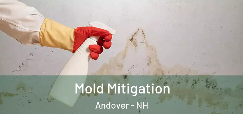  Mold Mitigation Andover - NH