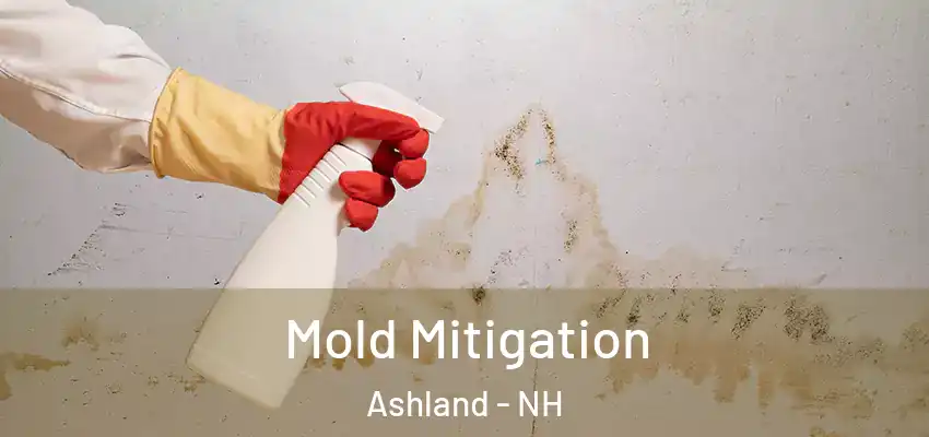  Mold Mitigation Ashland - NH
