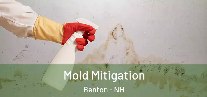  Mold Mitigation Benton - NH