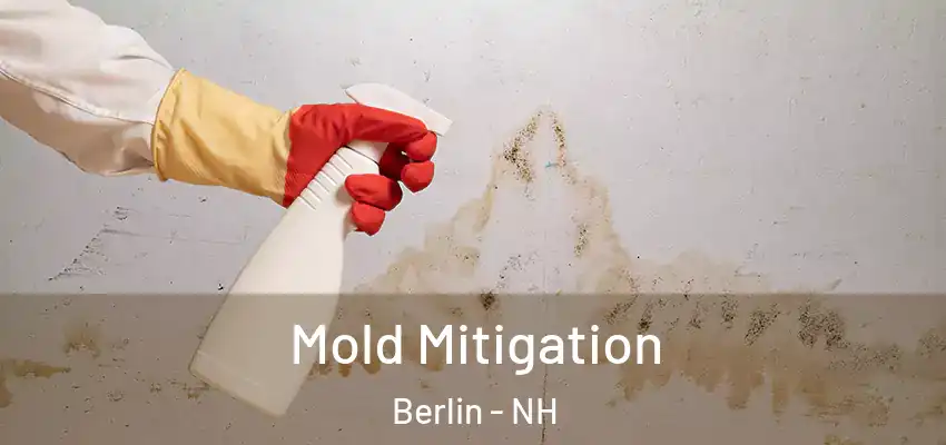 Mold Mitigation Berlin - NH