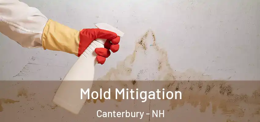 Mold Mitigation Canterbury - NH