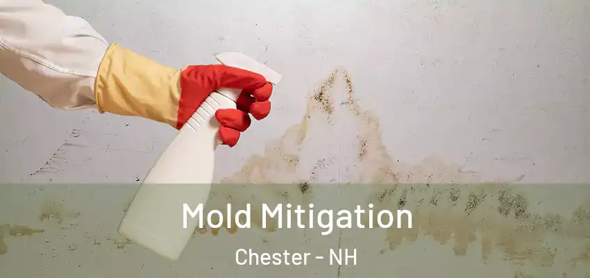  Mold Mitigation Chester - NH