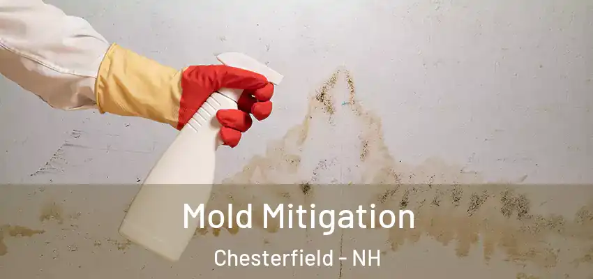  Mold Mitigation Chesterfield - NH