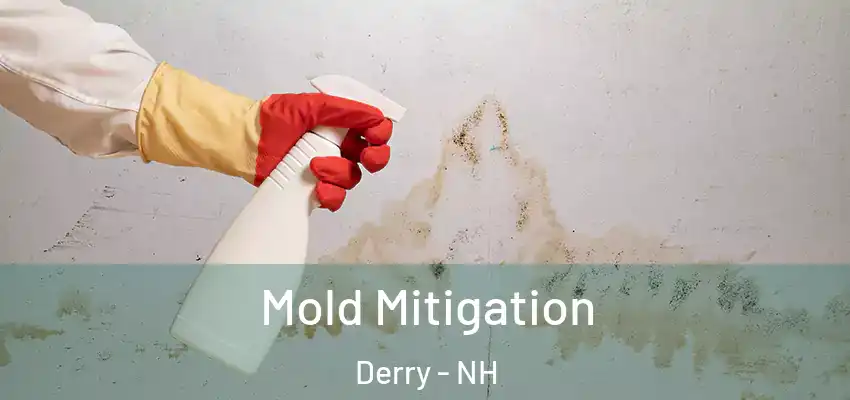  Mold Mitigation Derry - NH