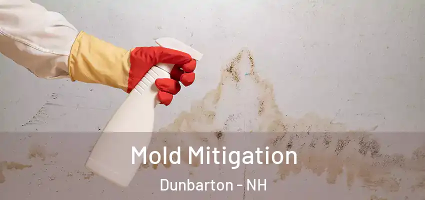  Mold Mitigation Dunbarton - NH