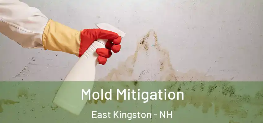 Mold Mitigation East Kingston - NH