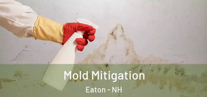  Mold Mitigation Eaton - NH
