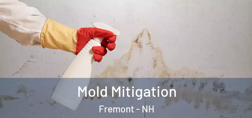  Mold Mitigation Fremont - NH