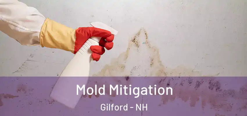  Mold Mitigation Gilford - NH