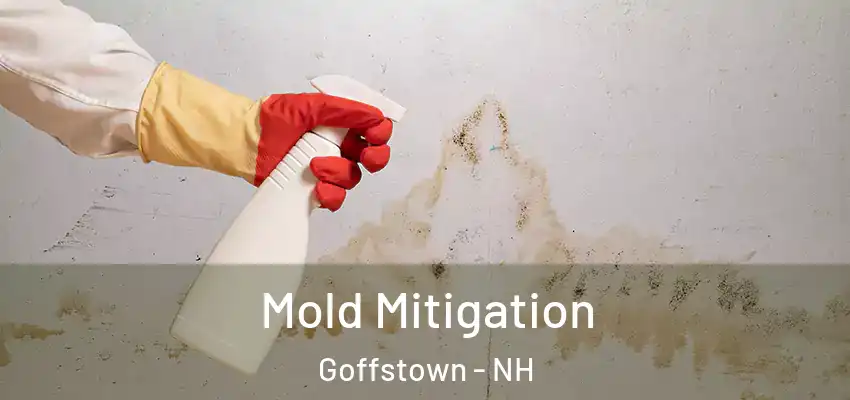  Mold Mitigation Goffstown - NH