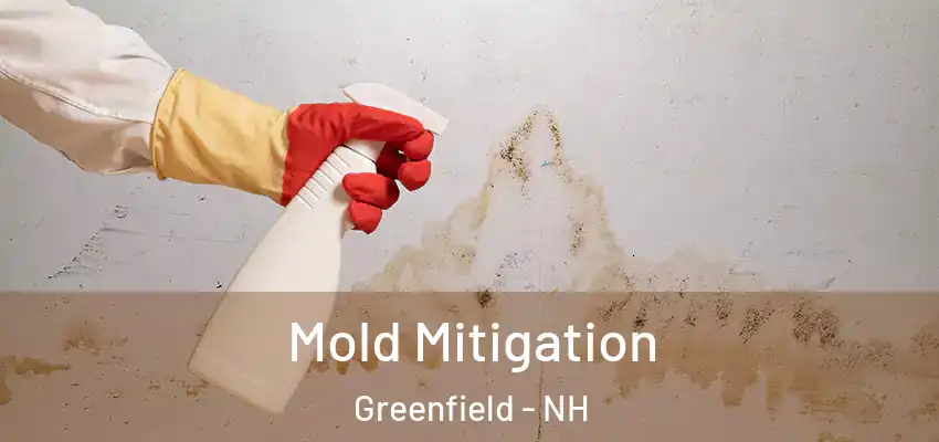  Mold Mitigation Greenfield - NH