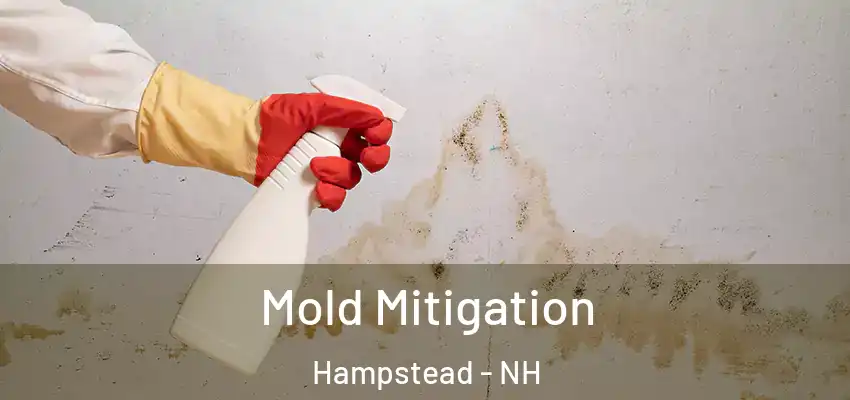 Mold Mitigation Hampstead - NH