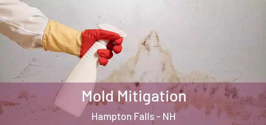 Mold Mitigation Hampton Falls - NH