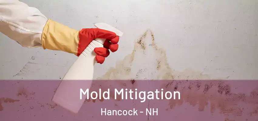 Mold Mitigation Hancock - NH
