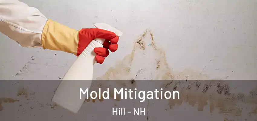  Mold Mitigation Hill - NH