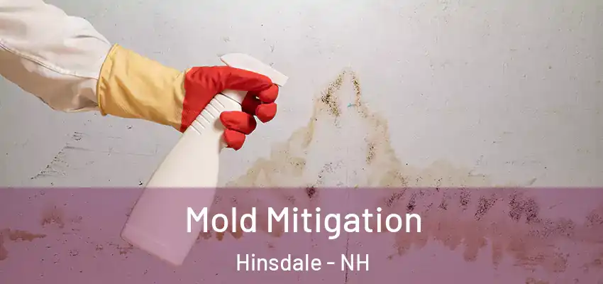  Mold Mitigation Hinsdale - NH