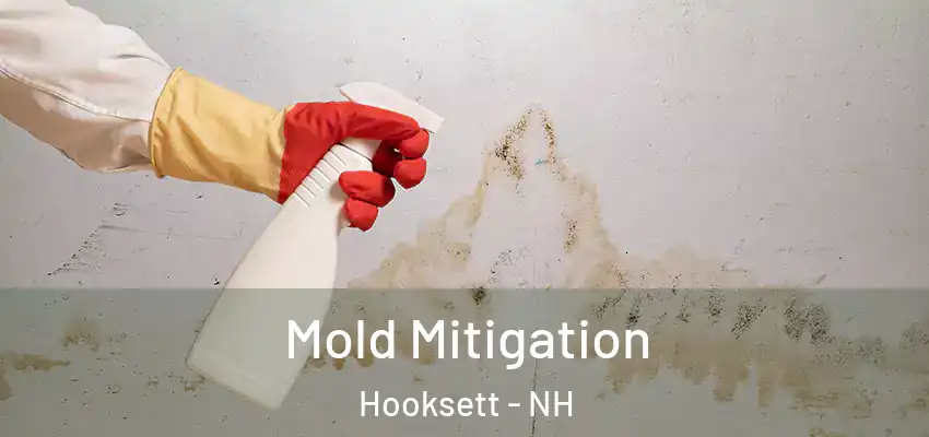 Mold Mitigation Hooksett - NH