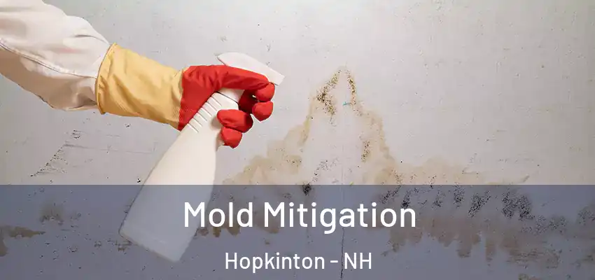 Mold Mitigation Hopkinton - NH