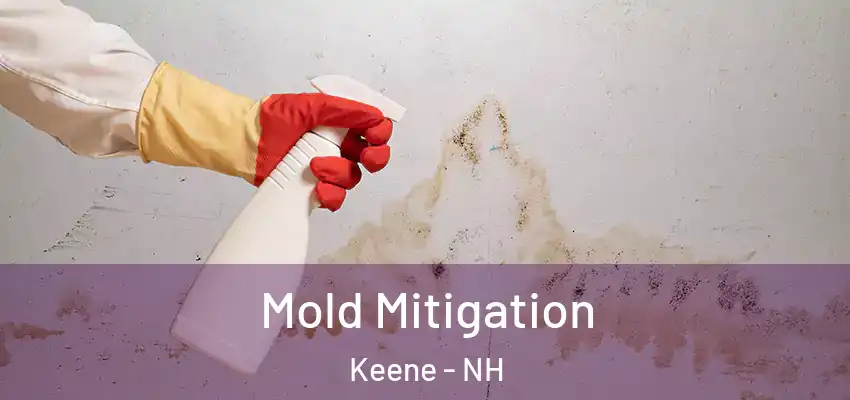 Mold Mitigation Keene - NH