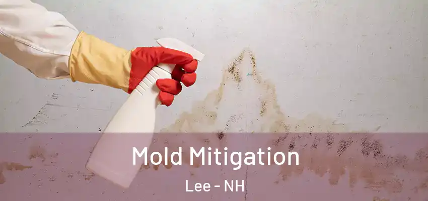 Mold Mitigation Lee - NH