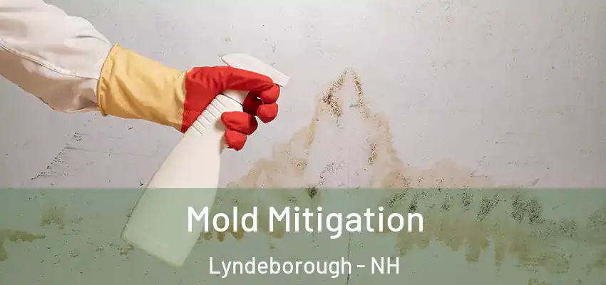 Mold Mitigation Lyndeborough - NH