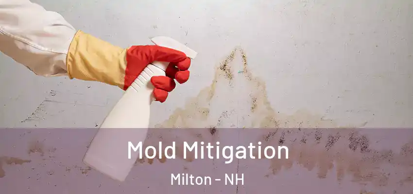 Mold Mitigation Milton - NH
