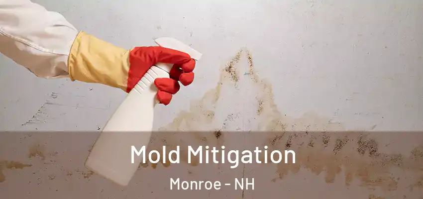  Mold Mitigation Monroe - NH