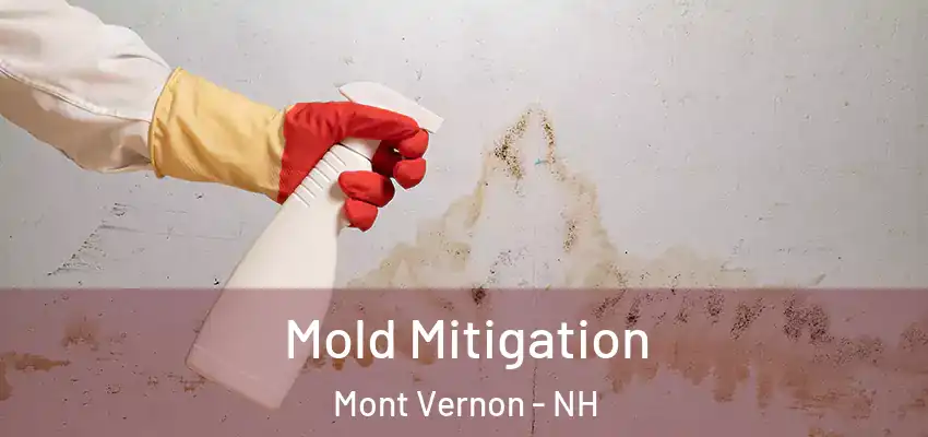  Mold Mitigation Mont Vernon - NH