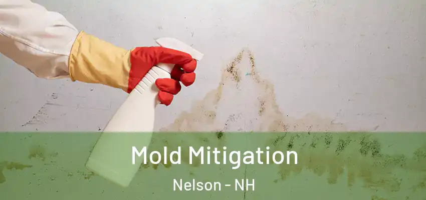 Mold Mitigation Nelson - NH